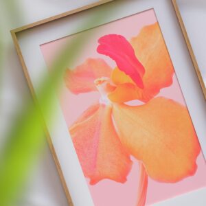 Elegant orchid artwork framed with natural wood, perfect for modern decor.